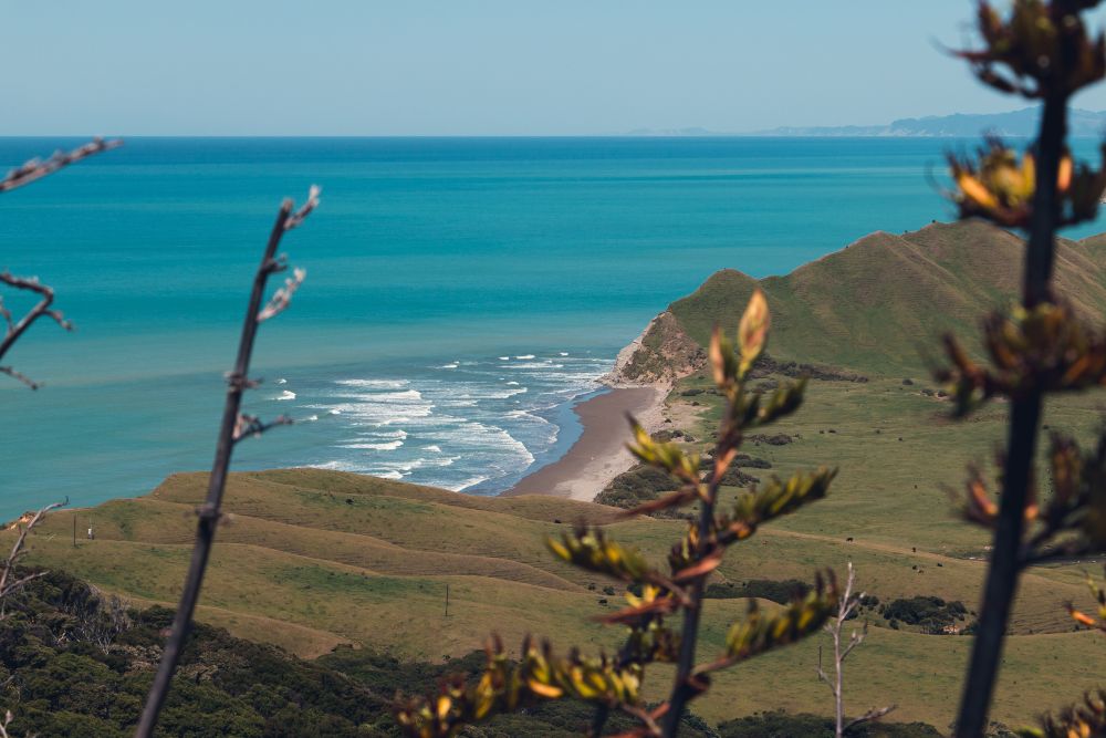 Coast
